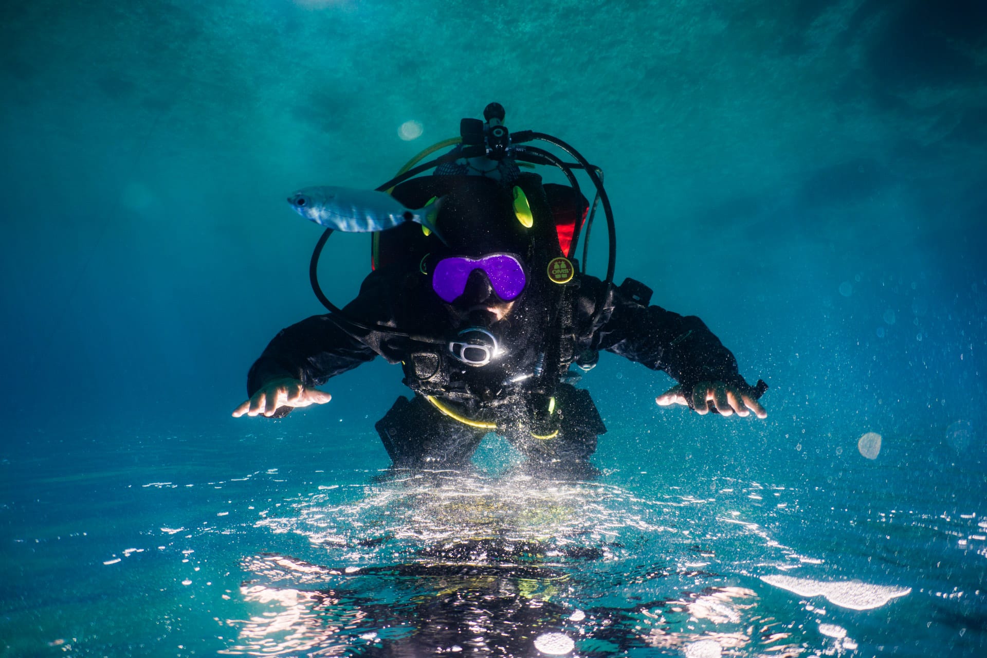 A scuba diver swimming in the ocean